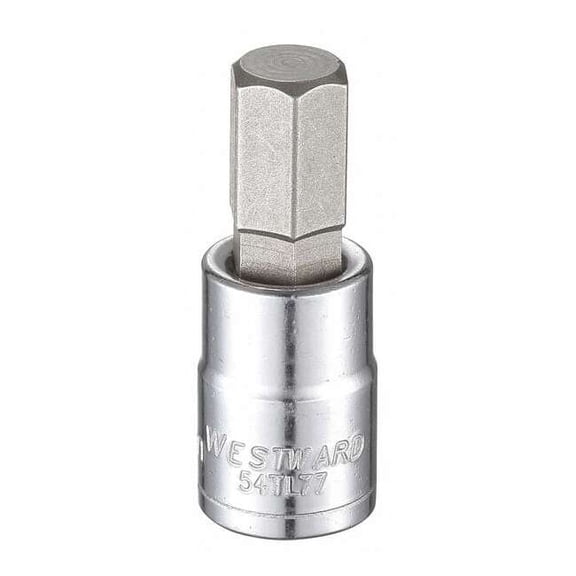 Westward 3/8 in Drive Hex Socket Bit Metric 11 mm Tip, 1 3/4 in L 54TL77