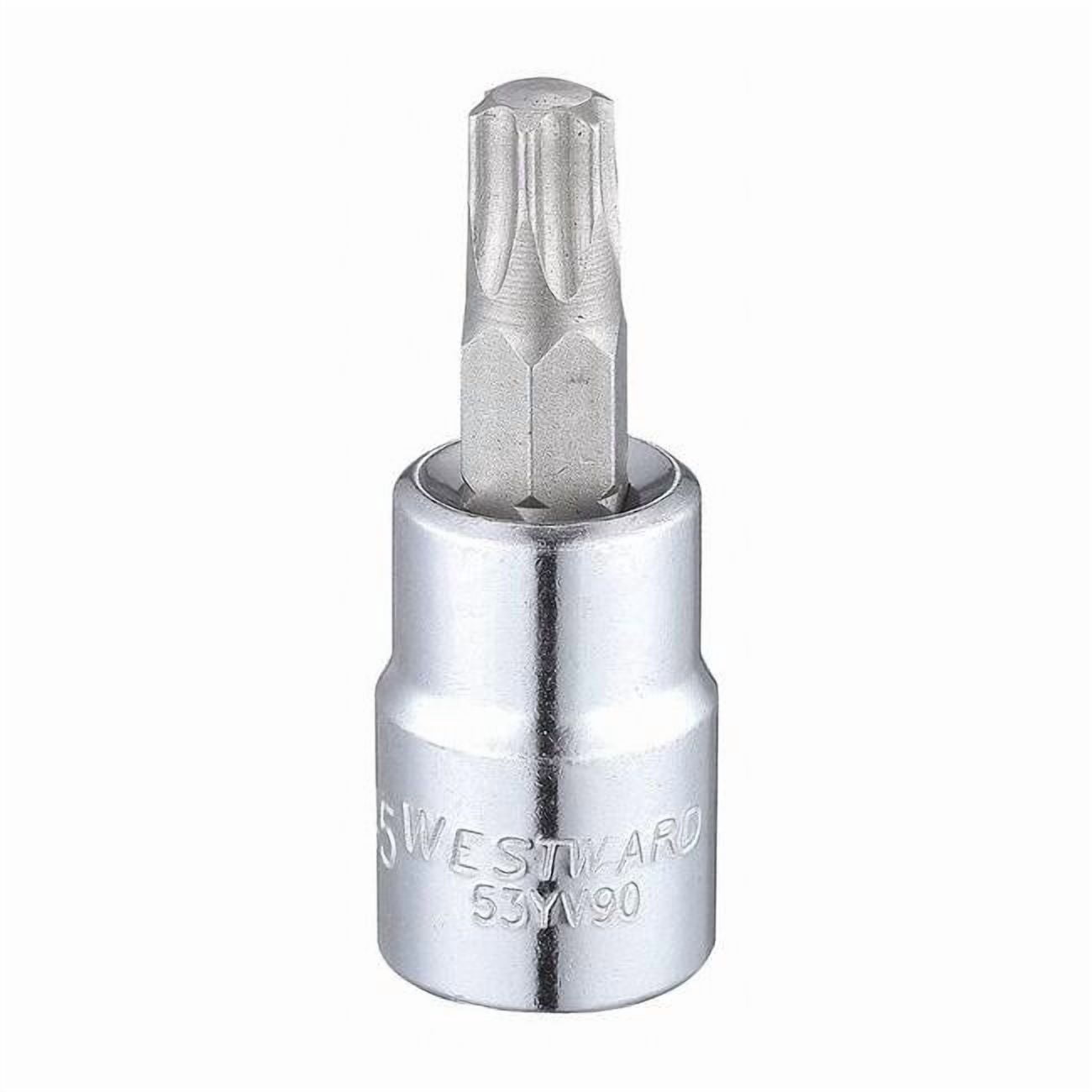 Westward 3/8 in Drive Torx(R) Socket Bit Torx(R) T45 Tip, 1 15/16 in L ...