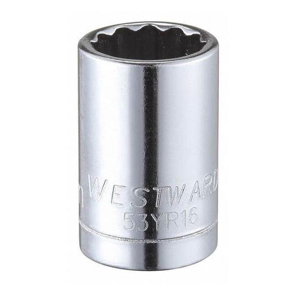 Westward 1/4 in Drive, 10mm Triple Square Metric Socket, 12 Points 53YR16