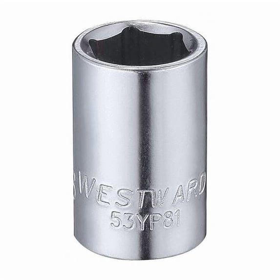 Westward Socket, Steel, Chrome, 3/8 in 53YP81