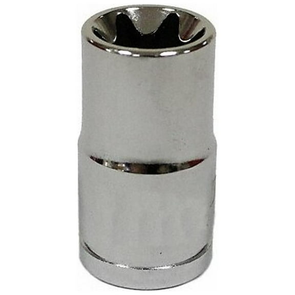 Westward 3/8 in Drive, E11 Female Star SAE Socket 20HX32