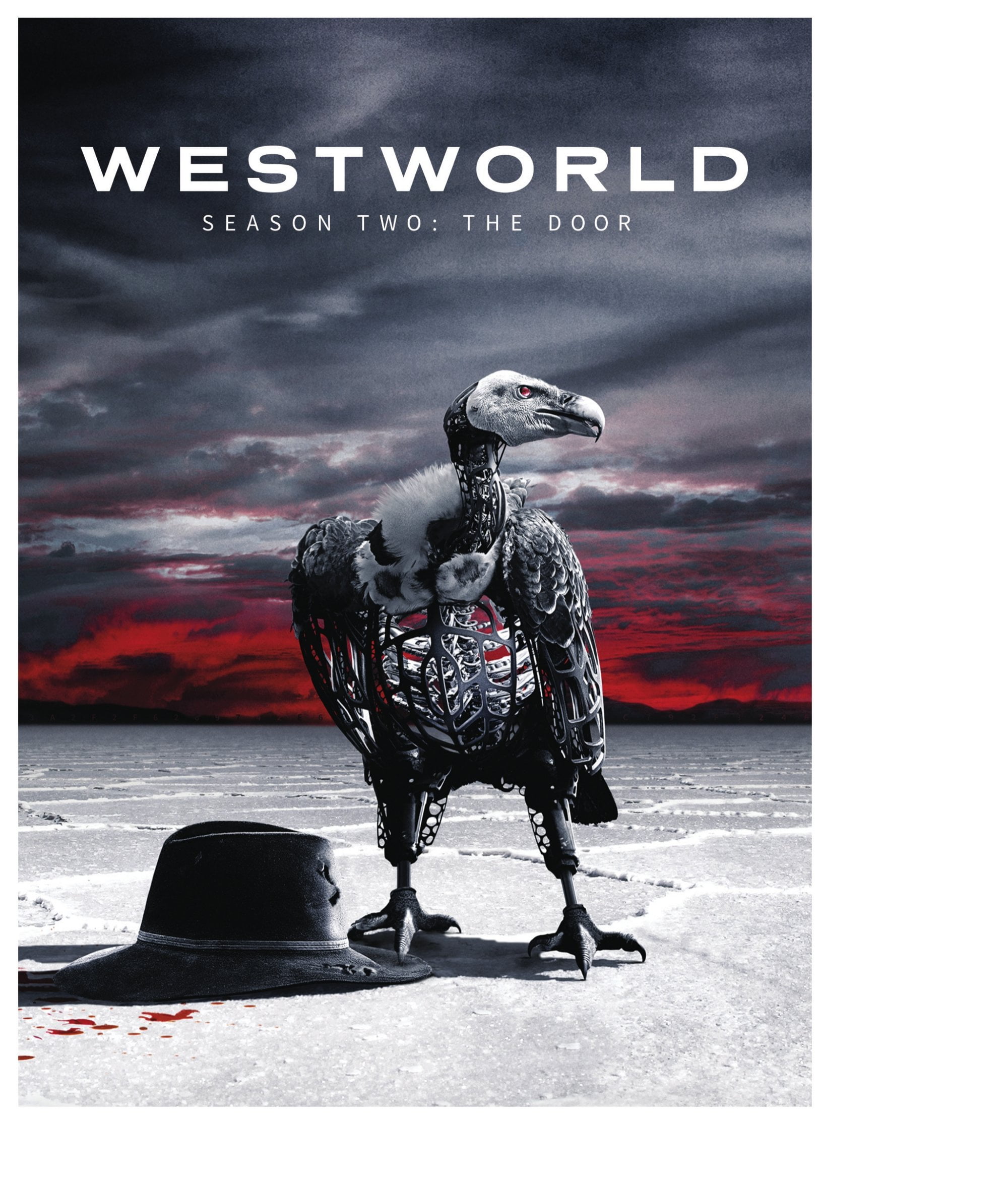 Westworld: The Complete Second Season (DVD) - Walmart.com