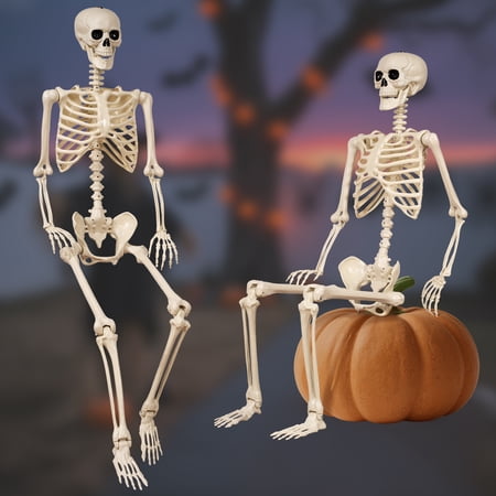5.4 ft Halloween skeleton decoration, with movable joints, flexible skeleton for poses, scary skeleton suitable for indoor and outdoor Halloween decorations, haunted houses, courtyards, cemeteries. price history and forecast - weswose KD-1121