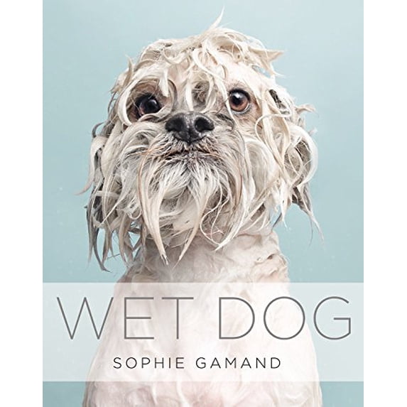 Pre-Owned Wet Dog (Hardcover) 1455531472 9781455531479