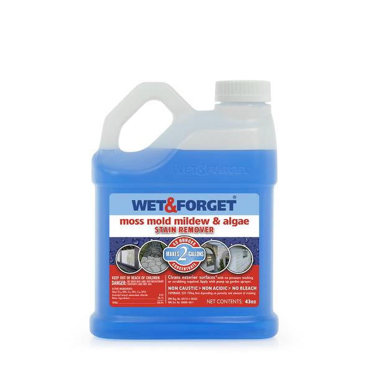 Wet & Outdoor Moss Mold Mildew & Algae Stain Remover