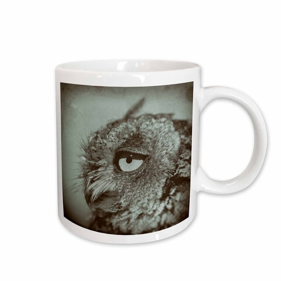 3drose, Wet Plate of a Western Screech Owl (otus Kennicotti) in Sonoran Desert, 11oz Mug