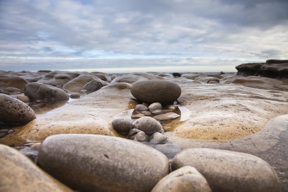 Wet Rocks Along The Coast South Shields Tyne And Wear England Canvas Art - John Short Design Pics (38 x 24)