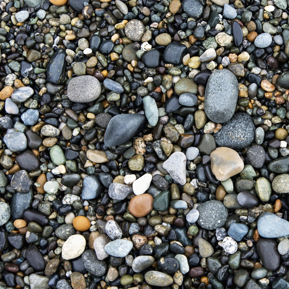 Wet Rocks On The Beach Oak Harbor Washington United States Of America Canvas Art - Keith Levit Design Pics (15 x 15)