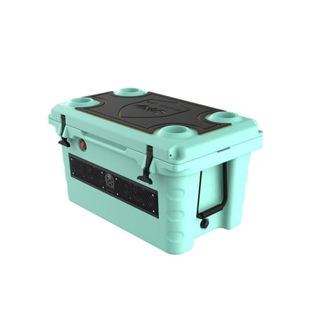 Wet Sounds Stealth SHIVR-55-SFM Seafoam Audio Cooler Speaker System + Top Gator Step Kit - Black over Whiskey