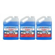 Wet & Forget Moss, Mold, Mildew & Algae Stain Remover Concentrate - 3 Pack, 1 Gallon