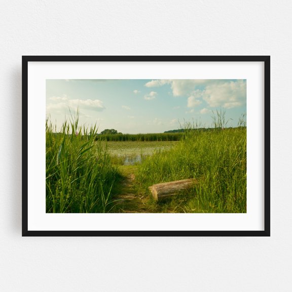 Wetland at Lions Park, Niskayuna 02 - New York Photography Nature Landscape Scenic Summer Rural Botanical Rustic Black Framed Wall Art Print 5 x 7 inches