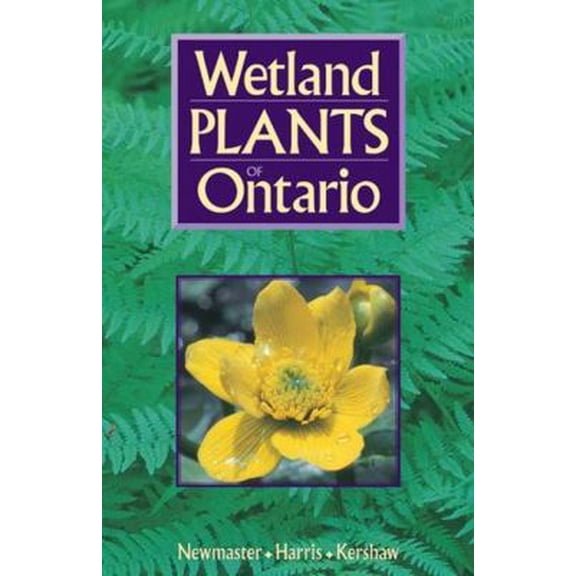 Pre-Owned Wetland Plants of Ontario (Paperback) 1551050595 9781551050591
