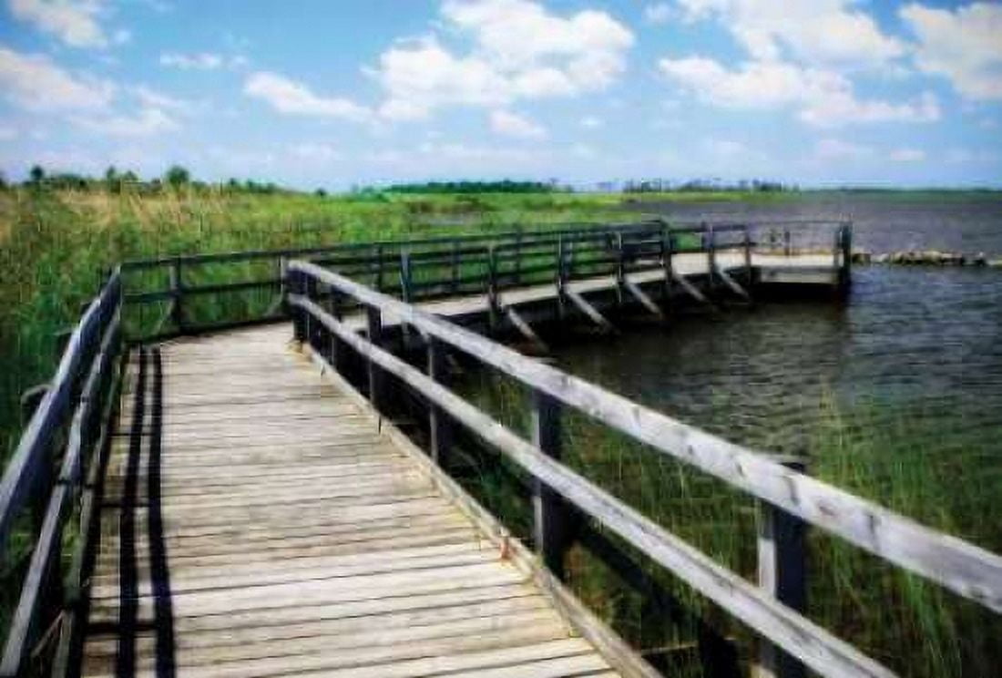 Wetland Walkway IV Canvas Art - Alan Hausenflock (24 x 36)