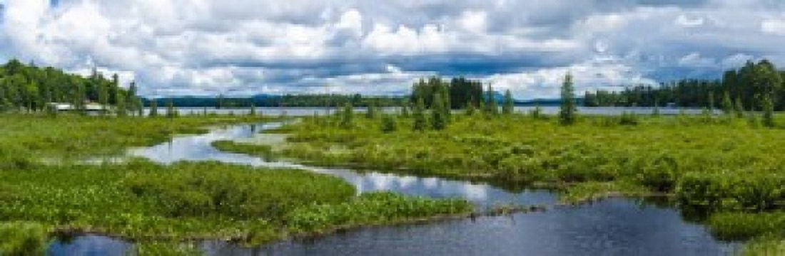 Wetlands near Raquette Lake in the Adirondack Mountains New York State USA Canvas Art - Panoramic Images (36 x 12)