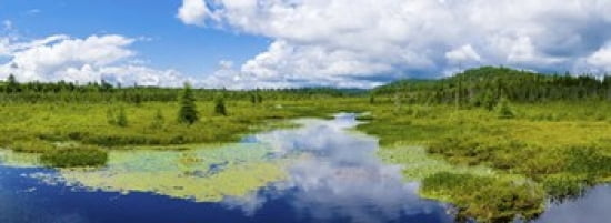 Wetlands near Raquette Lake in the Adirondack Mountains New York State USA Canvas Art - Panoramic Images (36 x 13)