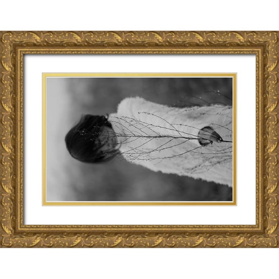 Wetton, Eddie 24x17 Gold Ornate Wood Framed with Double Matting Museum Art Print Titled - Winter