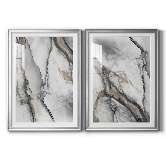 Wexford Home Abstract Ink Fantasy I Premium Framed Print, 30.5" x 42.5" - Ready to Hang, Silver (Set of 2)