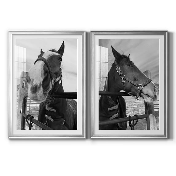 Wexford Home Argenteuil Premium Framed Print, 30.5" x 42.5" - Ready to Hang, Silver (Set of 2)