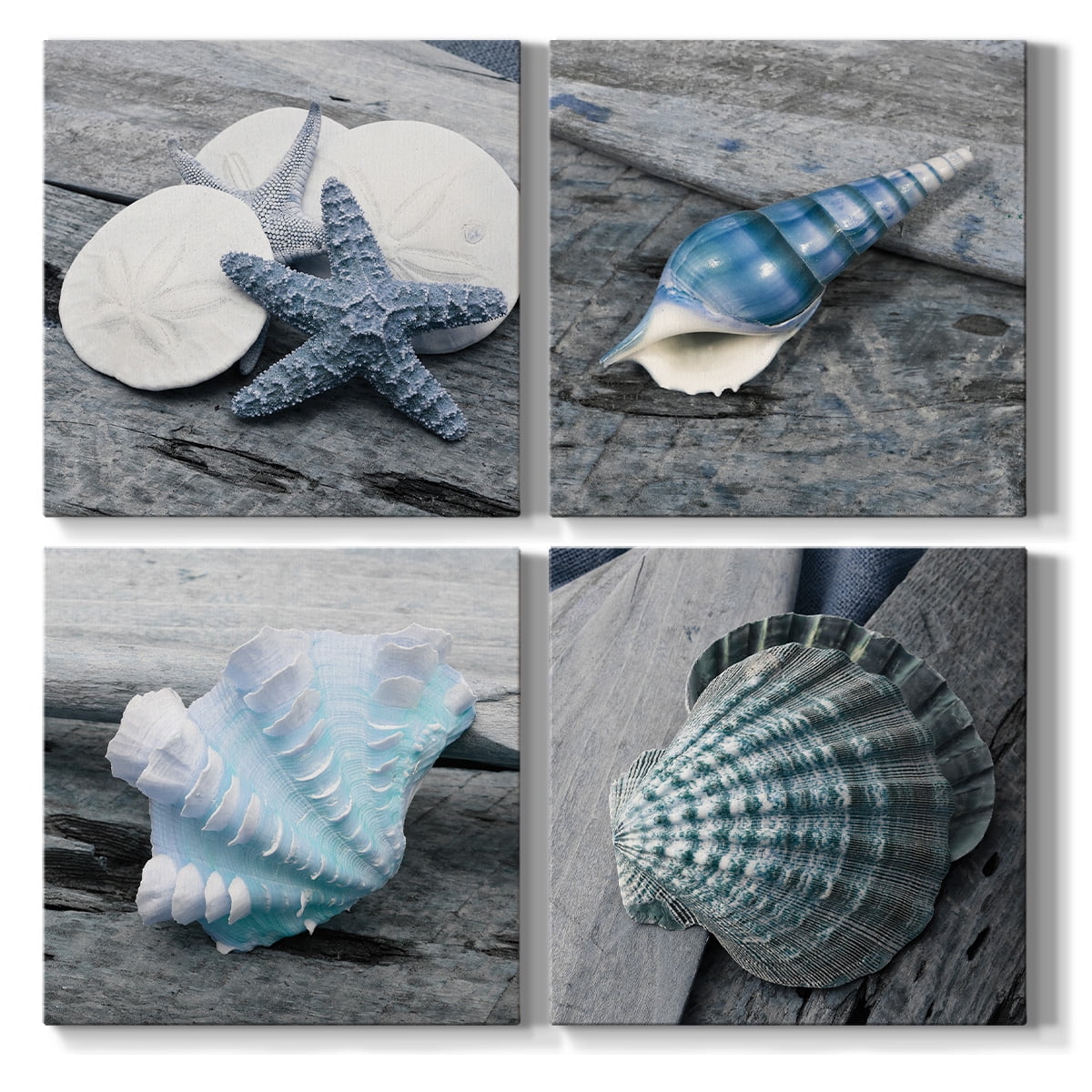 Wexford Home Beach Wall Décor Seashell Picture Prints Set of 4 Canvas Wall Art 32 x 32 inches Each Solid Wood Artwork for Cabin Home Office