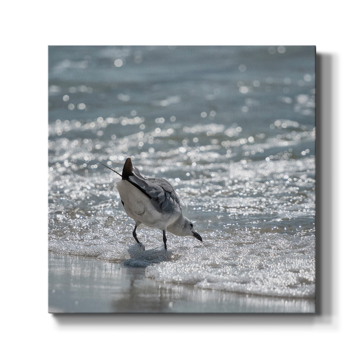 Wexford Home Bottoms Up-Premium Gallery Wrapped Canvas, 40" x 40" - Ready to Hang