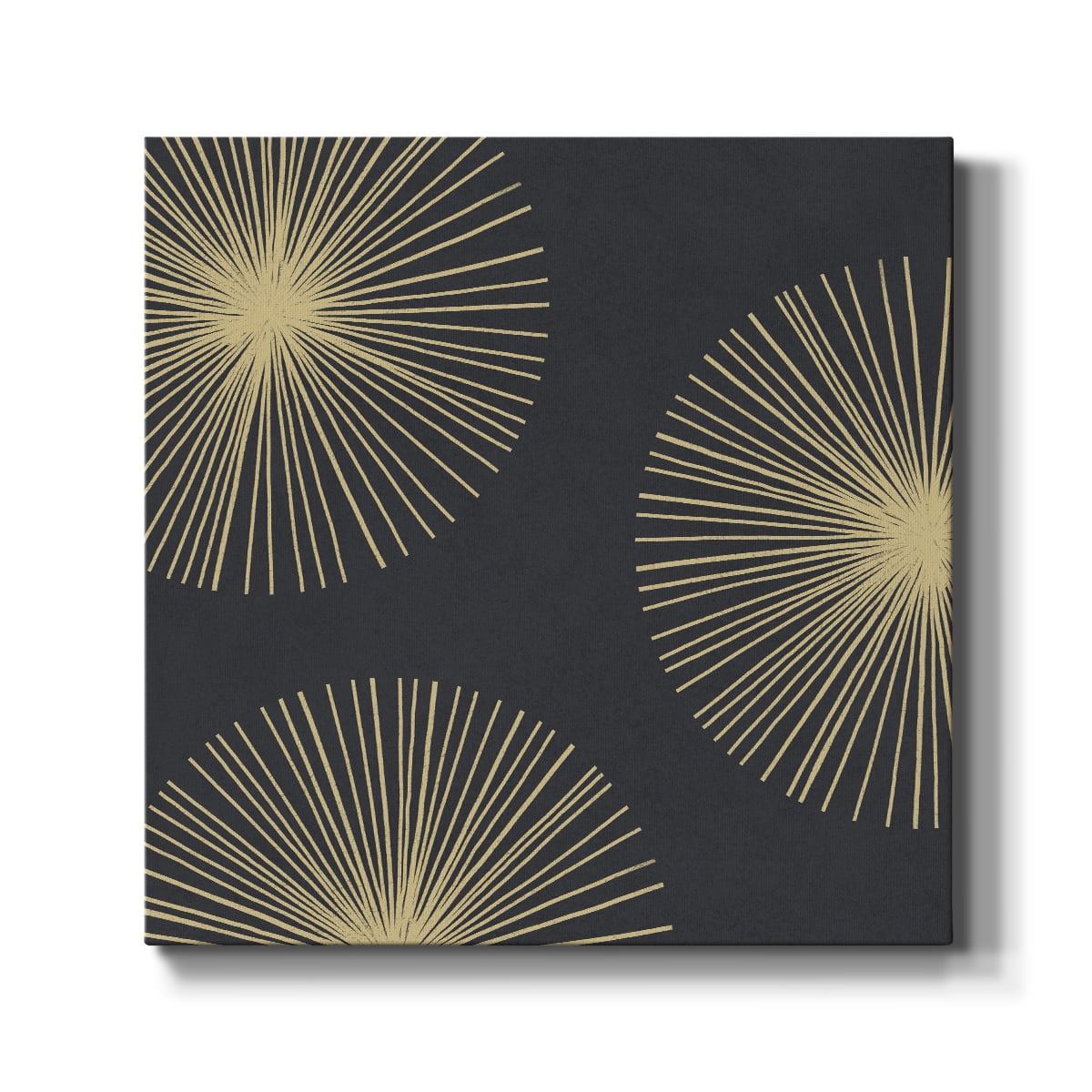 Wexford Home Bursts I-Premium Gallery Wrapped Canvas, 24" x 24" - Ready to Hang