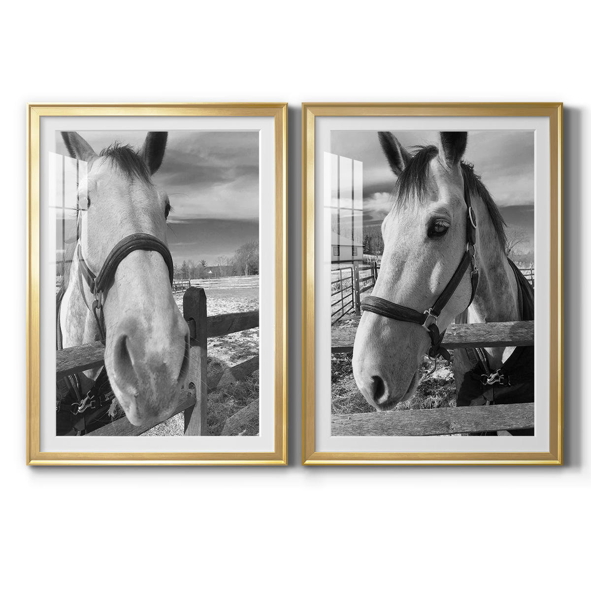 Wexford Home Caen Premium Framed Print, 22.5" x 30.5" - Ready to Hang, Gold (Set of 2)
