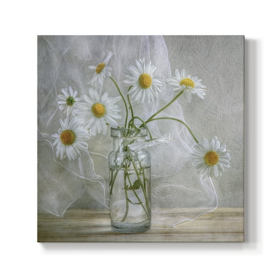 Wexford Home Daisies - 10" x 10" Gallery Wrapped Canvas, Ready to Hang