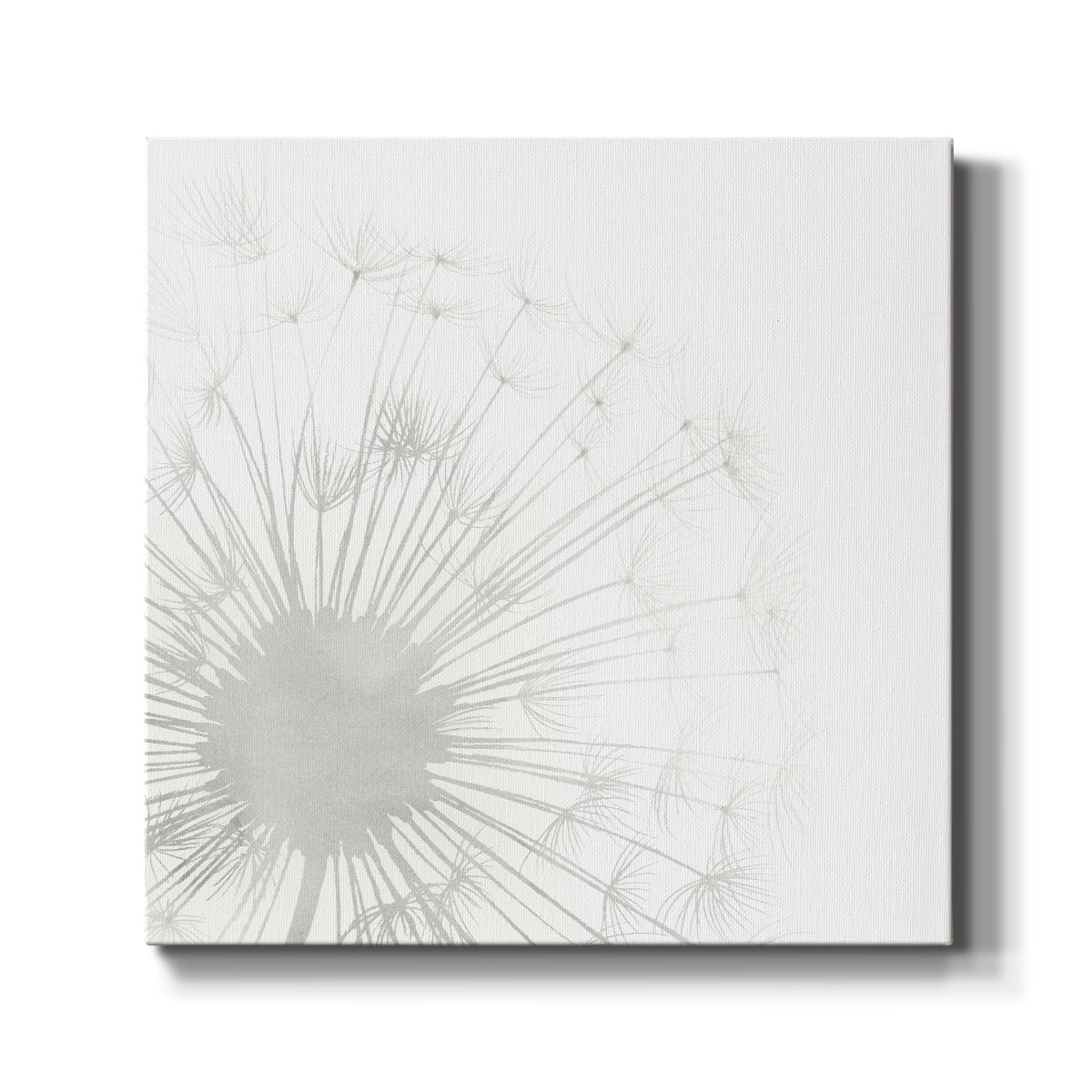 Wexford Home Dandelion Whisper I-Premium Gallery Wrapped Canvas, 10" x 10" - Ready to Hang