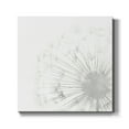 thumbnail image 1 of Wexford Home Dandelion Whisper II-Premium Gallery Wrapped Canvas, 24" x 24" - Ready to Hang, 1 of 8