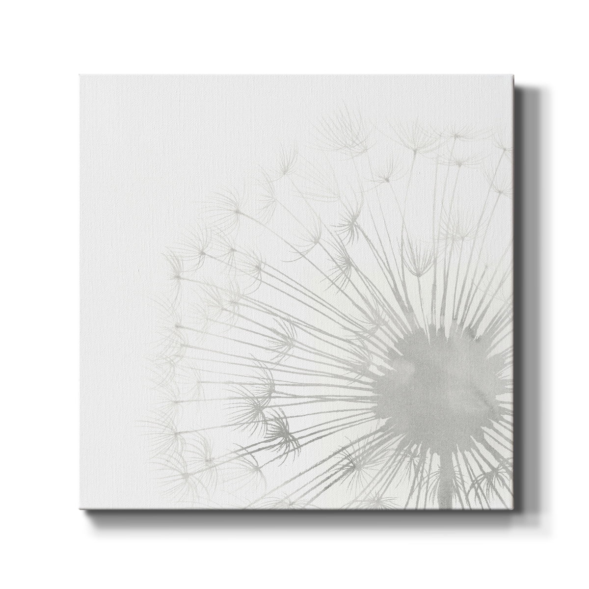 Wexford Home Dandelion Whisper II-Premium Gallery Wrapped Canvas, 40" x 40" - Ready to Hang
