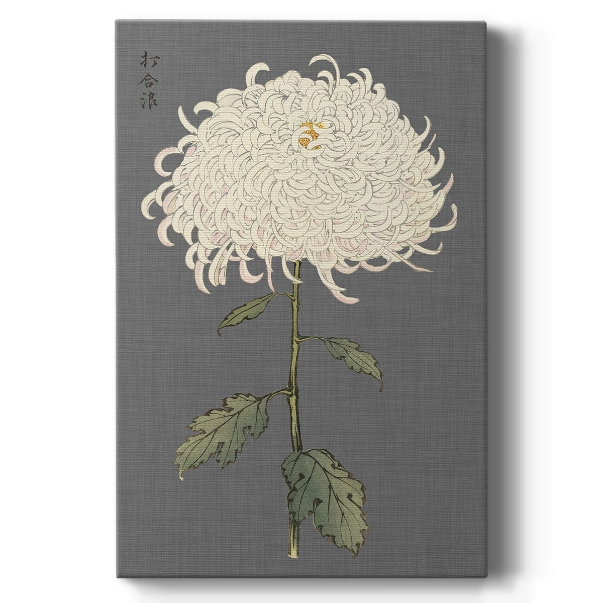 Ivory Mums Gallery Wrapped Canvas Print, 20" x 20"