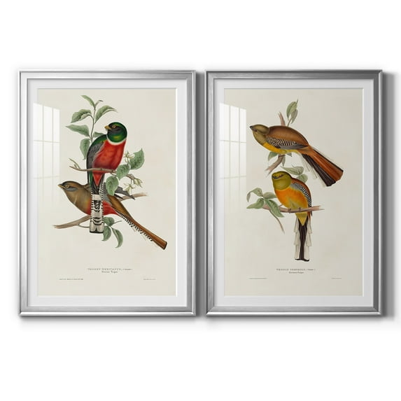 Wexford Home Elegant Trogons I Premium Framed Print, 30.5" x 42.5" - Ready to Hang, Silver (Set of 2)