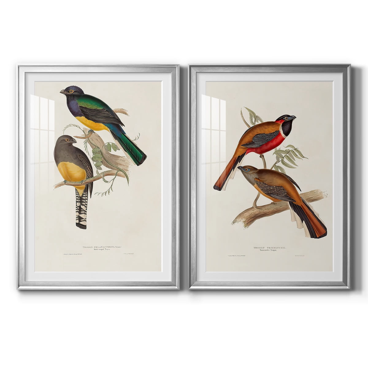 Wexford Home Elegant Trogons III Premium Framed Print, 18.5" x 24.5" - Ready to Hang, Silver (Set of 2)