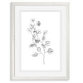 thumbnail image 1 of Wexford Home Eucalyptus Sketch IV-Framed - White - 22X30, 1 of 4