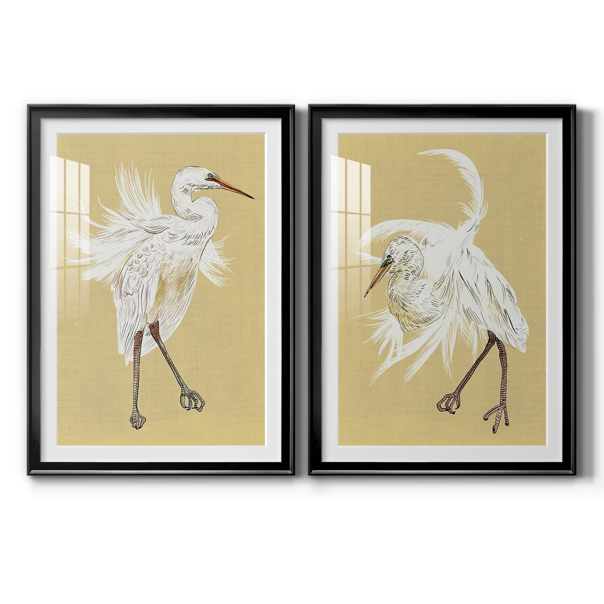 Wexford Home Heron Plumage V Premium Framed Print, 18.5" x 24.5" - Ready to Hang, Black (Set of 2)