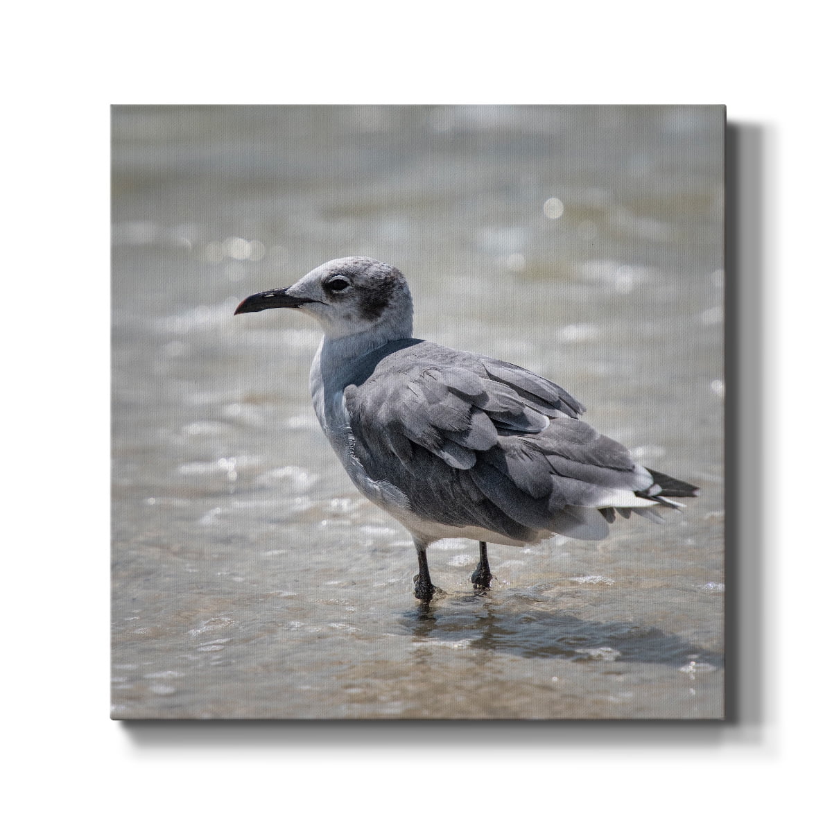 Wexford Home Knee Deep-Premium Gallery Wrapped Canvas, 16" x 16" - Ready to Hang