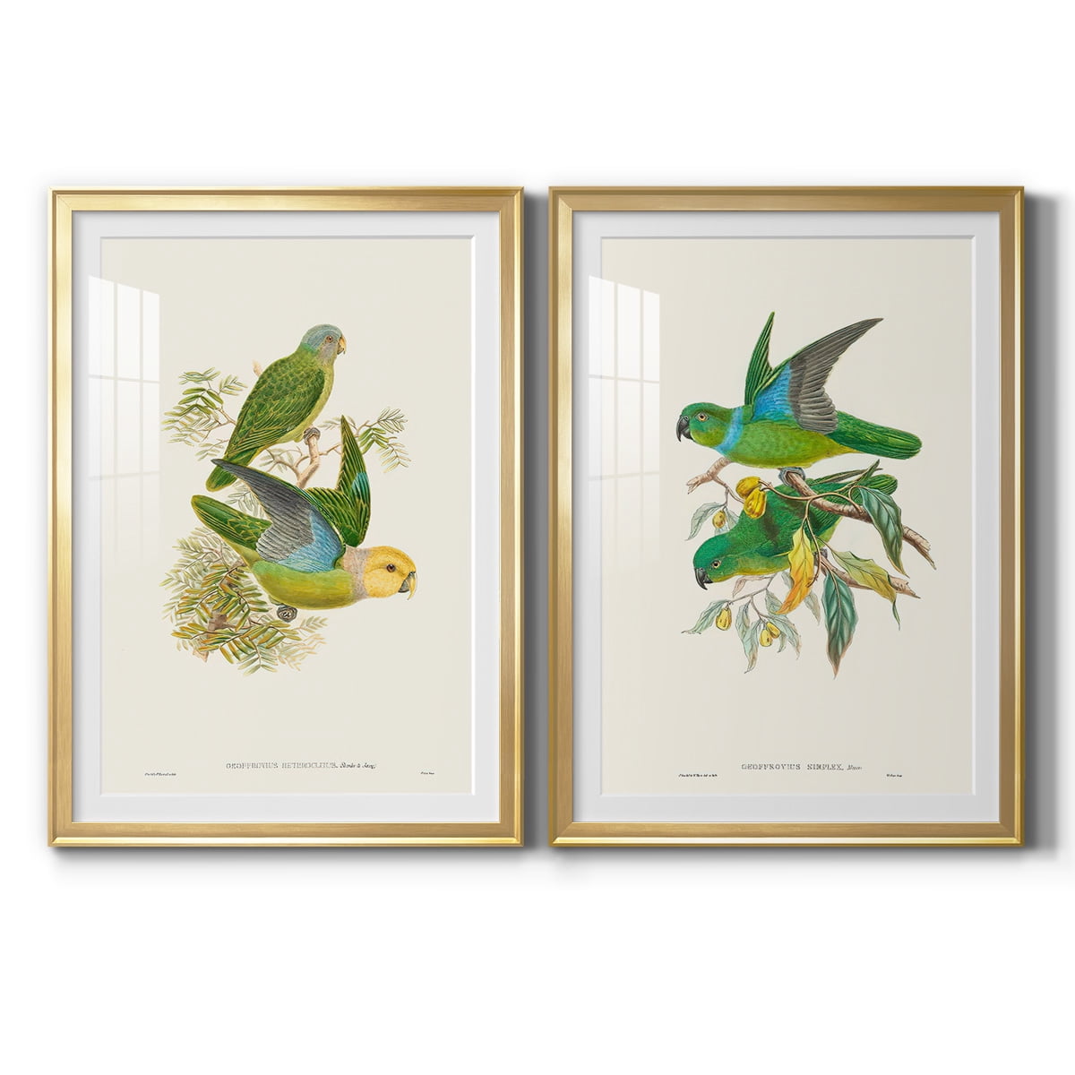 Wexford Home Lime & Cerulean Parrots I Premium Framed Print, 18.5" x 24.5" - Ready to Hang, Gold (Set of 2)