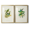 thumbnail image 1 of Wexford Home Lime & Cerulean Parrots I Premium Framed Print, 22.5" x 30.5" - Ready to Hang, Gold (Set of 2), 1 of 9