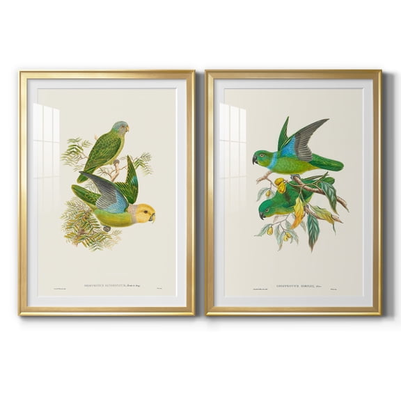 Wexford Home Lime & Cerulean Parrots I Premium Framed Print, 22.5" x 30.5" - Ready to Hang, Gold (Set of 2)