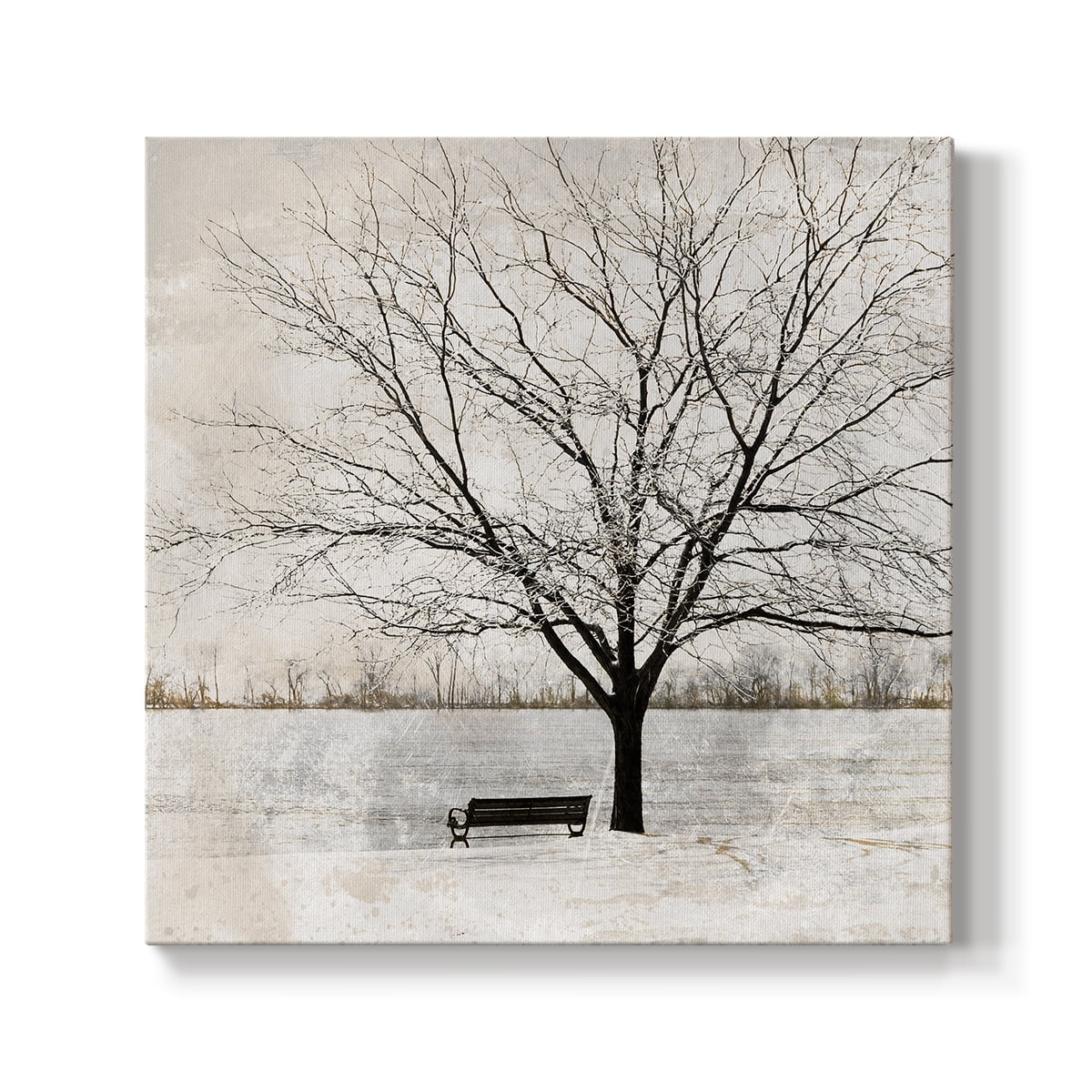 Wexford Home Lonely Tree - 32" x 32" Gallery Wrapped Canvas, Ready to Hang