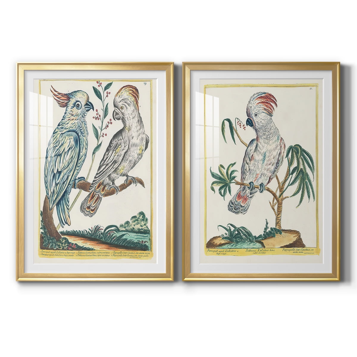 Wexford Home Pastel Birds I Premium Framed Print, 22.5" x 30.5" - Ready to Hang, Gold (Set of 2)