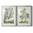 thumbnail image 1 of Wexford Home Pastel Birds I Premium Framed Print, 26.5" x 36.5" - Ready to Hang, Silver (Set of 2), 1 of 9