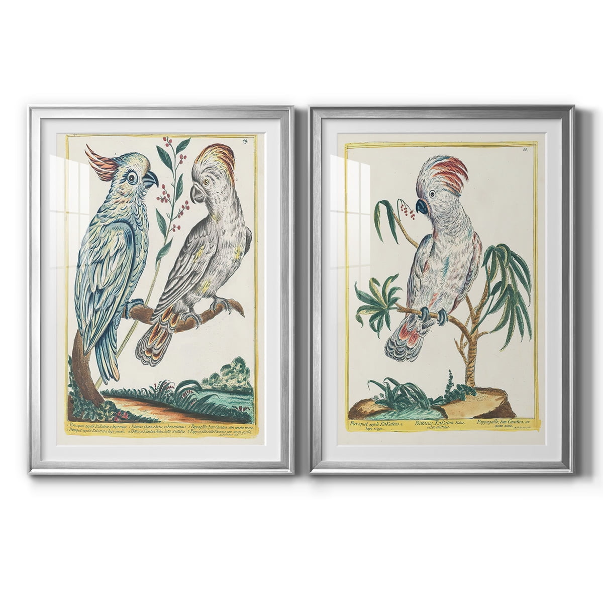 Wexford Home Pastel Birds I Premium Framed Print, 30.5" x 42.5" - Ready to Hang, Silver (Set of 2)
