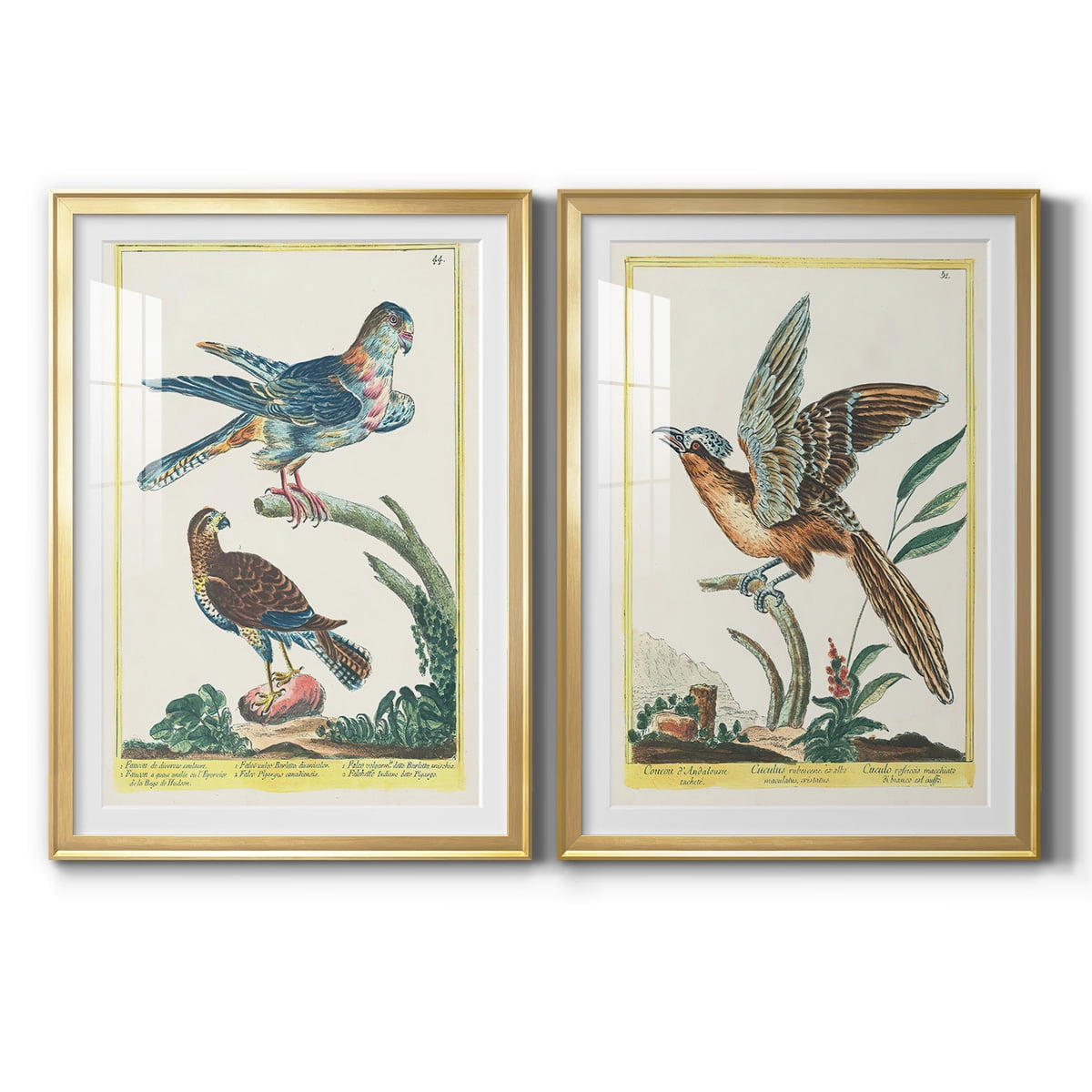 Wexford Home Pastel Birds III Premium Framed Print, 18.5" x 24.5" - Ready to Hang, Gold (Set of 2)