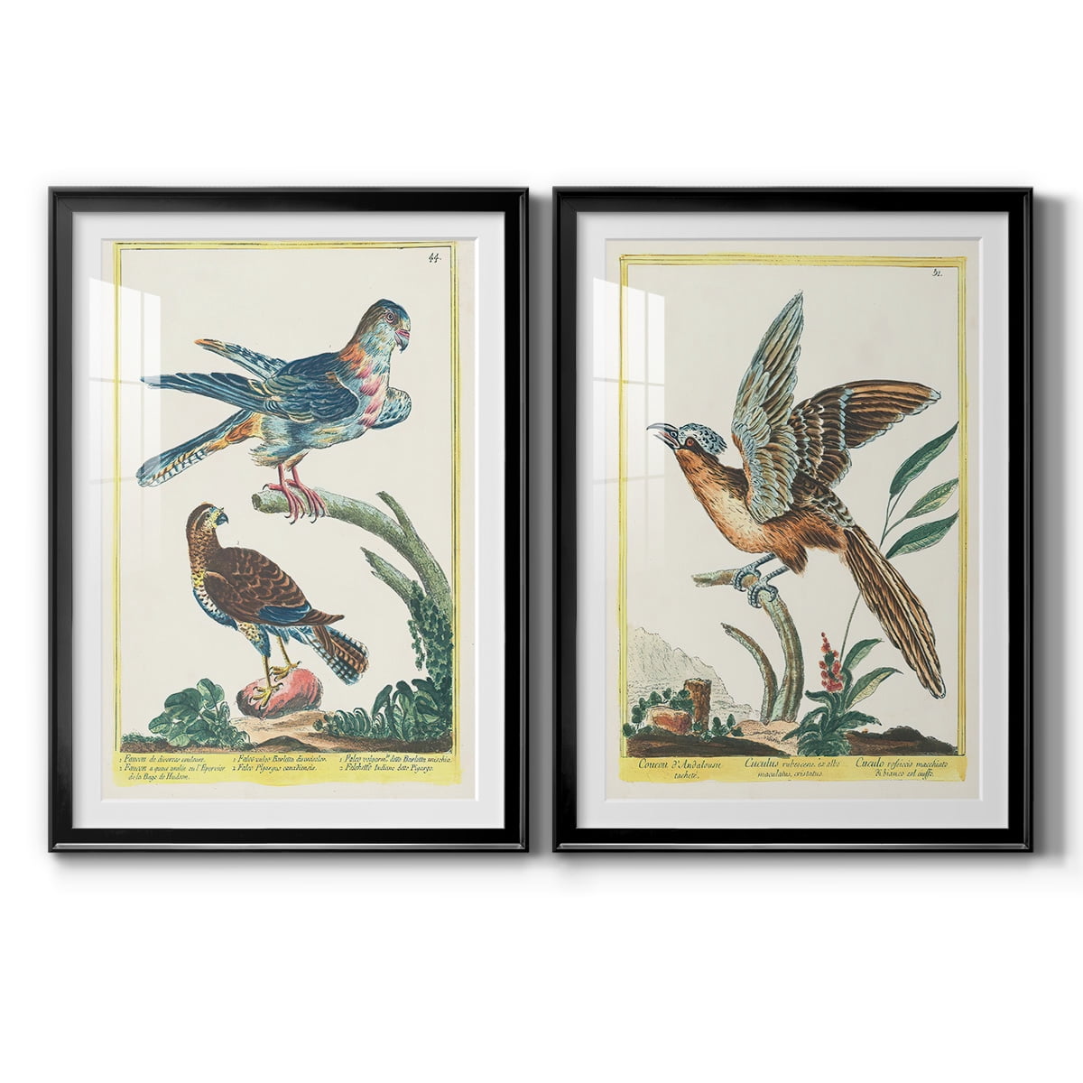 Wexford Home Pastel Birds III Premium Framed Print, 26.5" x 36.5" - Ready to Hang, Black (Set of 2)