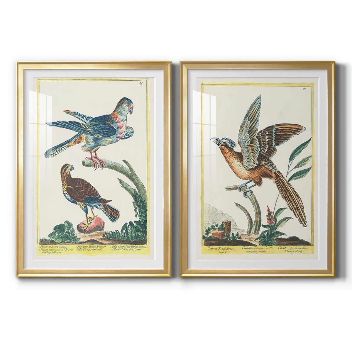 Wexford Home Pastel Birds III Premium Framed Print, 26.5" x 36.5" - Ready to Hang, Gold (Set of 2)