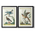 thumbnail image 1 of Wexford Home Pastel Birds III Premium Framed Print, 30.5" x 42.5" - Ready to Hang, Black (Set of 2), 1 of 9