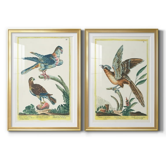 Wexford Home Pastel Birds III Premium Framed Print, 30.5" x 42.5" - Ready to Hang, Gold (Set of 2)
