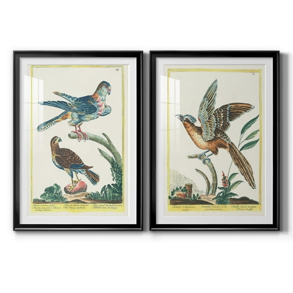 Wexford Home Pastel Birds V Premium Framed Print, 26.5" x 36.5" - Ready to Hang, Black (Set of 2)