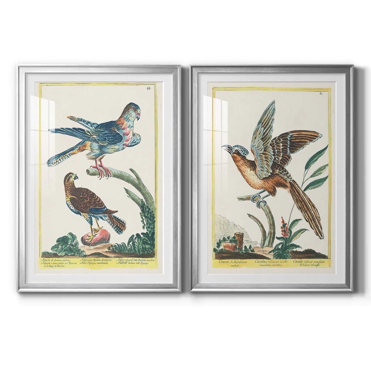 Wexford Home Pastel Birds V Premium Framed Print, 26.5" x 36.5" - Ready to Hang, Silver (Set of 2)